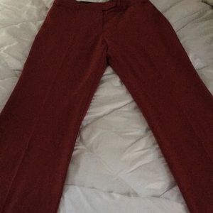 Burgundy dress pants